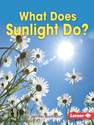 cover image of What Does Sunlight Do?